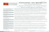 Patagonia sin represas en movimiento abril de 2013