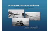 La muerte gris de Chañaral. El libro negro de la División Salvador de Codelco Chile.