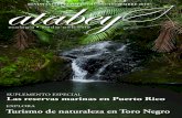 Revista Atabey octubre-diciembre de 2011