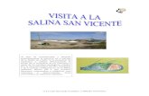 SALINA S. VICENTE