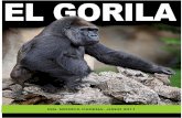 Reportaje Encuentra al Gorila