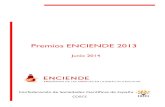 Catálogo de Premios ENCIENDE 2013