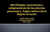 3 Morfología, taxonomía y adaptaciones de las plantas