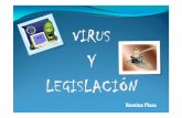 Virus informáticos y legislación