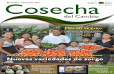 Cosecha del Cambio - Sexta Edición / Noviembre - Diciembre 2012