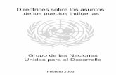 Directrices sobre los asuntos de los pueblos indígenas