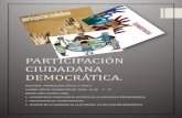 participacion ciudadana democrática