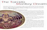 the torcido monkey dream