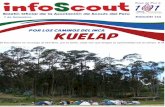 Info Scout 134