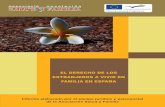 Informe "El derecho de los extranjeros a vivir en familia en España"