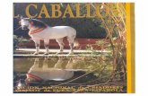 Revista El Caballo Español 1998, n.121
