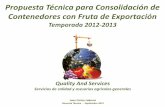 Propuesta Técnica para Consolidación de Contenedores con Fruta de Exportación