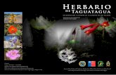 Libro Herbario de Taguatagua 2ª Edición (2011)