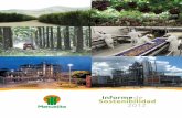 Informe sostenibilidad 2012