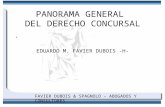 Panorama general derecho concursal_Prof. Favier Dubois