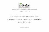 Caracterización del consumo responsable en Chile.