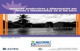 II Informe SAN de Rio Coco-Waspam  ACF-E  (Octubre 2010)