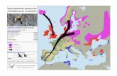 Rutas migración de algunas acuaticas europeas