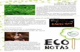 Eco Notas n. 36