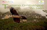 Guia Turismo Ornitológico en Jaén