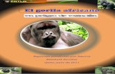 Salvando al gorila africano