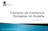 Cámaras Europeas en España