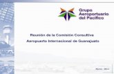Comisión Consultiva del Aeropuerto Internacional de Guanajuato