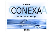 Proyecto: Liga "CONEXA VOLEY"