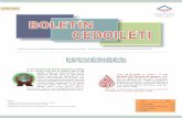 Boletín CEDOILETI Junio 2013