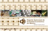 Reporte Quincenal de Actividad Económica en México | Septiembre 2a Quincena