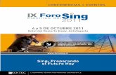 IX ForoSING
