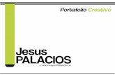 Portafolio Licenciado Jesus Palacios