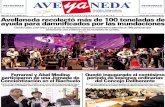 Periódico Aveyaneda - Abril 2013