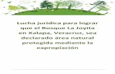 Lucha jurídica por el Bosque la Joyita en Xalapa, Veracruz