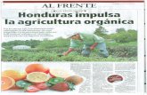 Honduras impulsa la agricultura orgánica