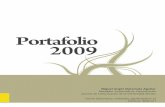 Portafolio Profesional 2009