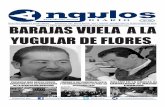 Àngulos Diario Ed. 305 Miercoles 21/11/12
