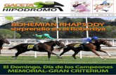 Gaceta Hipódromo Nº43/2013 (23/10-29/10)