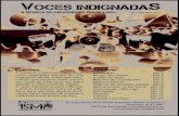 Voces Indignadas Nº 2 Septiembre 2011 Versión digital M15M Lugo