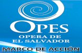 OPES MARCO DE ACCION (revisado)