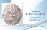 Terapia Endovascular - Aneurisma Cerebral