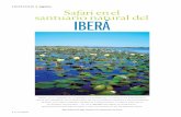 Esteros del Iberá: safari en un santuario natural de la Argentina