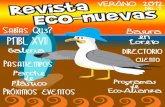 Revista 1 Eco Nuevas de Loreto - Verano 2012