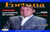 Revista Fortuna 0106