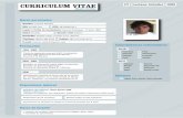 CV - Portfolio (L. Schuller)