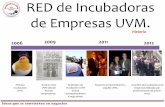 ¿Qué hacemos en la RED de Incubadoras de Empresas UVM?
