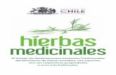 Hierbas Medicinales de uso Tradicional en Chile