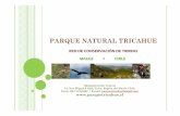 Chile, Parque Natural Tricahue, Maule