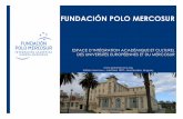 Boletin Fundación Polo Mercosur mayo 2014