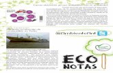 Eco Notas n. 39